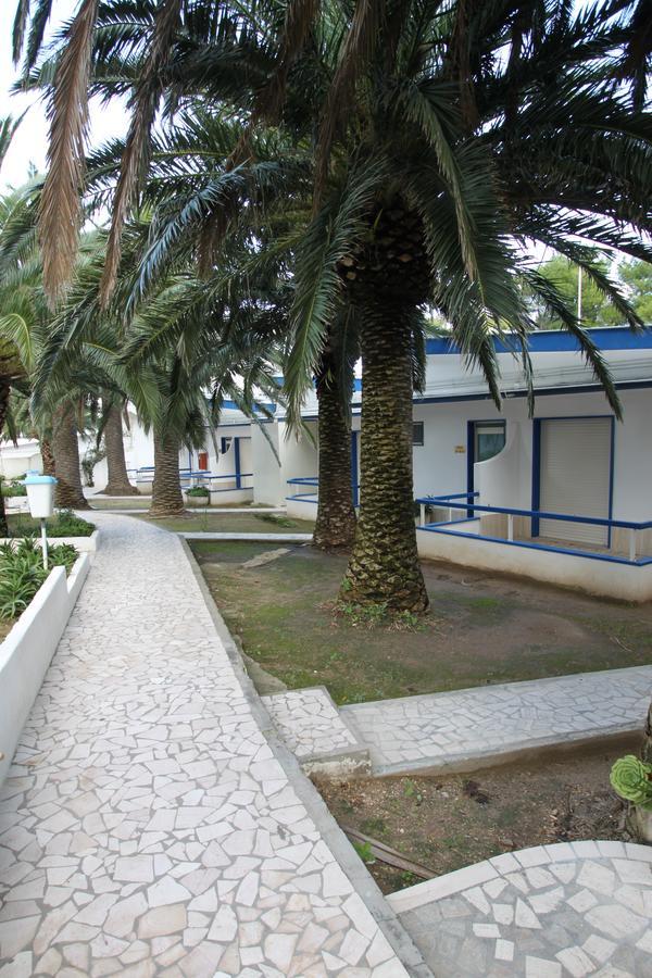 Hotel Gabbiano ซาน โดมิโน ภายนอก รูปภาพ